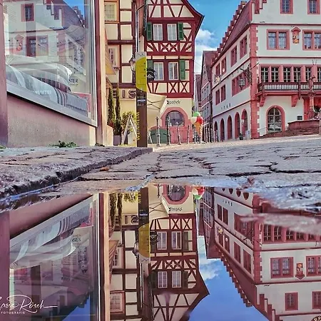 Apartment Zwischen Und Hemsbach *